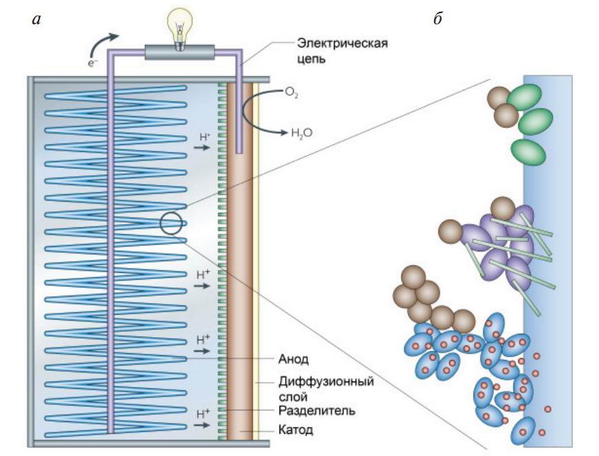 Схема микробного топливного элемента